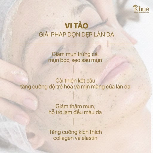 Tác dụng vi tảo