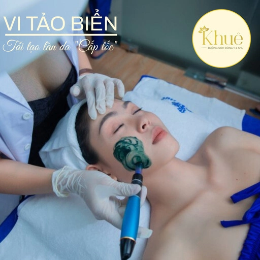 Vi tảo biển